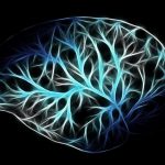 Méditation : Les 7 Bienfaits scientifiquement prouvés sur Votre Cerveau